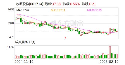 牧原股份董事長秦英林 從四方面推進中國養豬業高質量發展