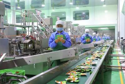 稅費&ldquo;退減緩&rdquo; 穩崗就業惠民生