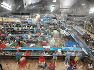 新理念、新模式、新產(chǎn)業(yè)--嘉魚(yú)縣水產(chǎn)養(yǎng)殖轉(zhuǎn)型升級(jí)創(chuàng)新模式